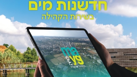 דוח סיכום שנת 2025